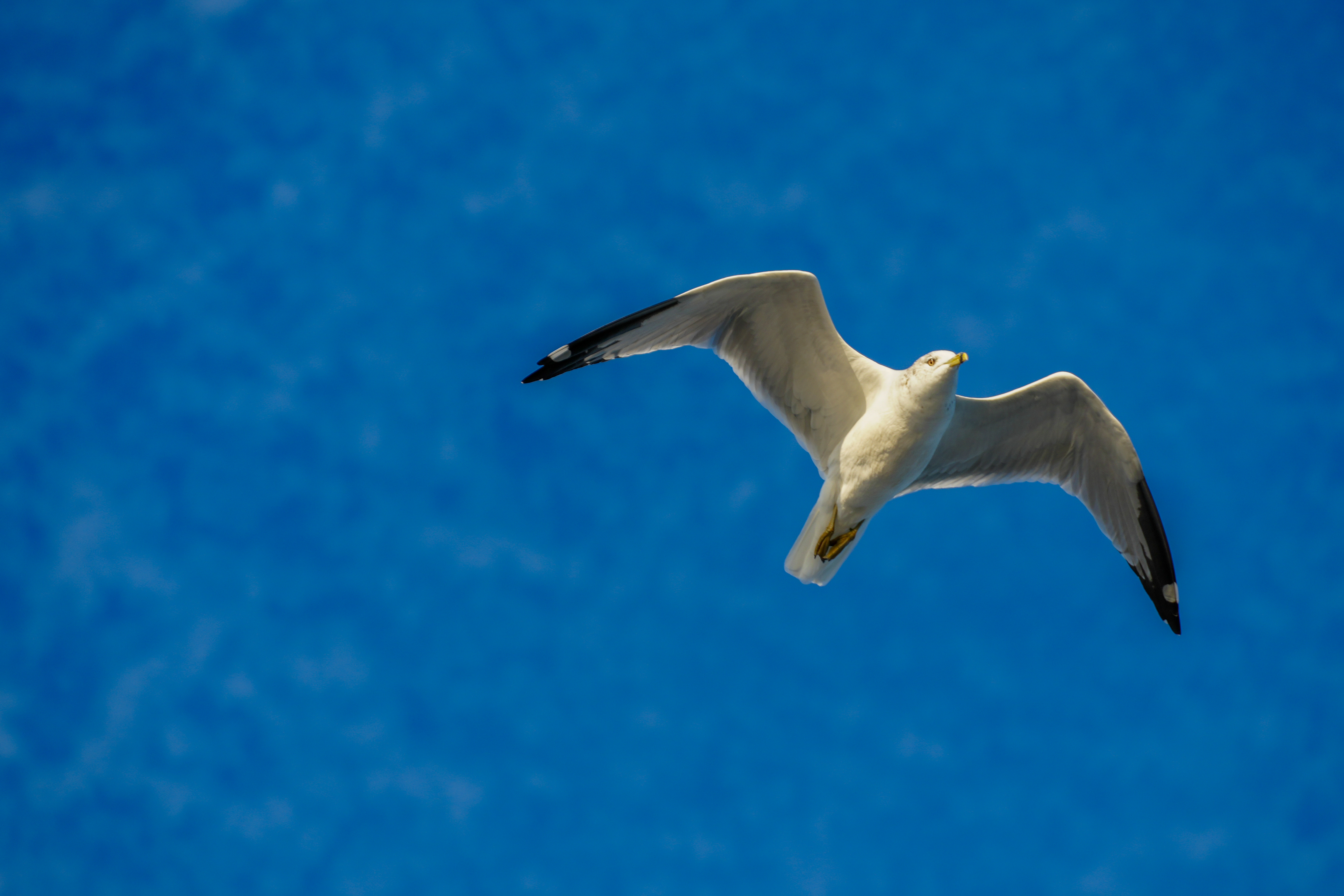 Wide environmental shot from 830 Productions