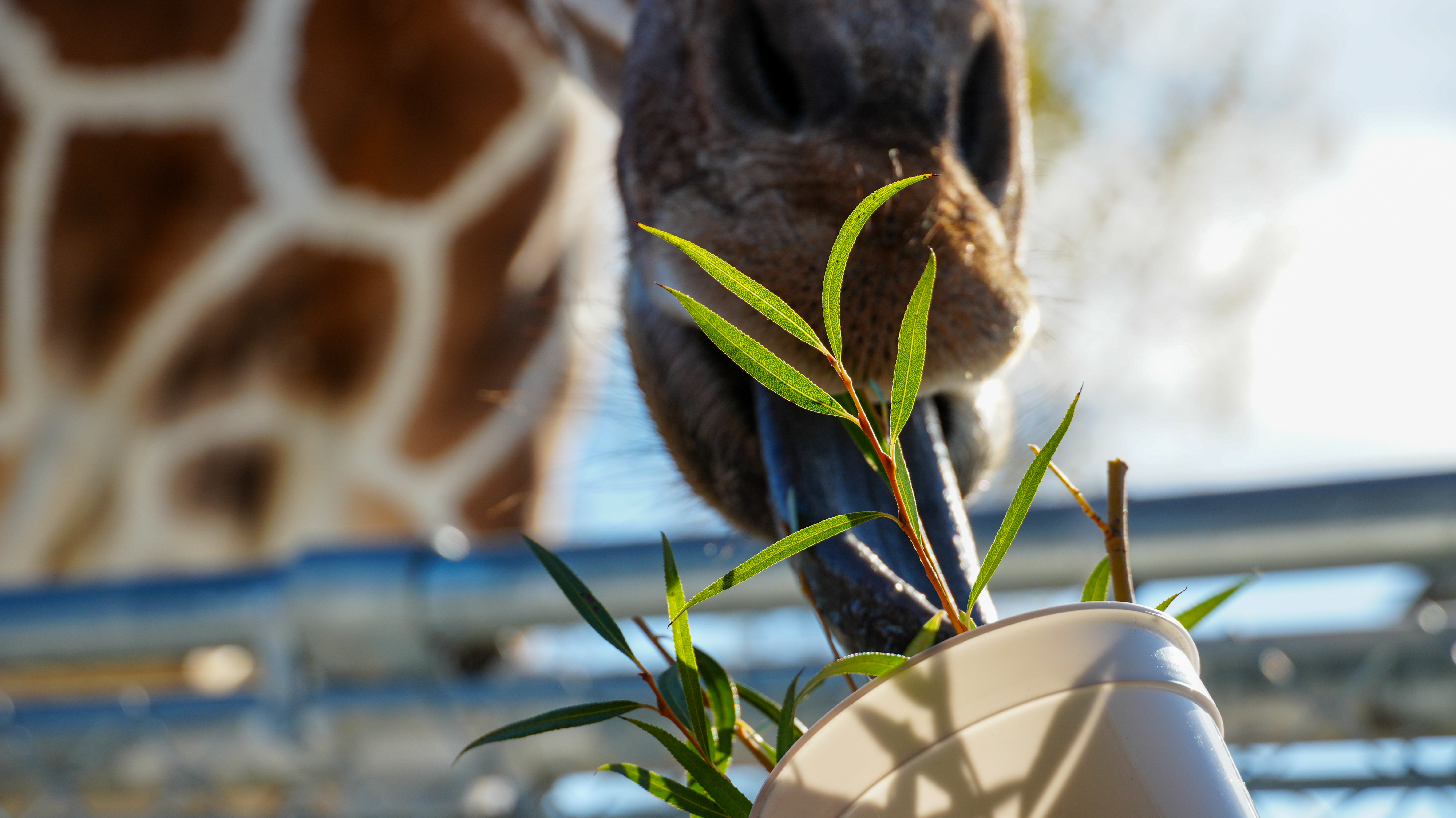 Stage lighting and crowd at a live event